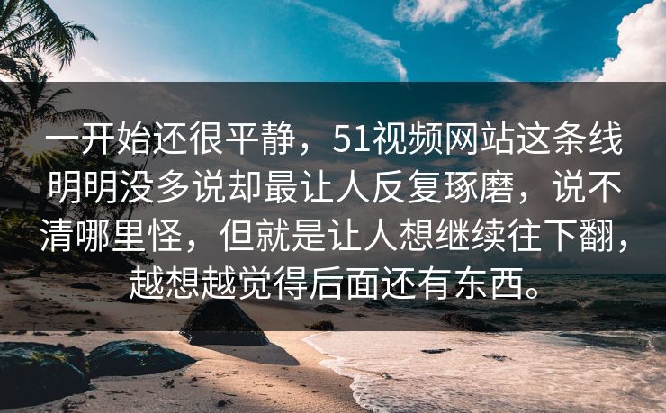 一开始还很平静，51视频网站这条线明明没多说却最让人反复琢磨，说不清哪里怪，但就是让人想继续往下翻，越想越觉得后面还有东西。  第1张