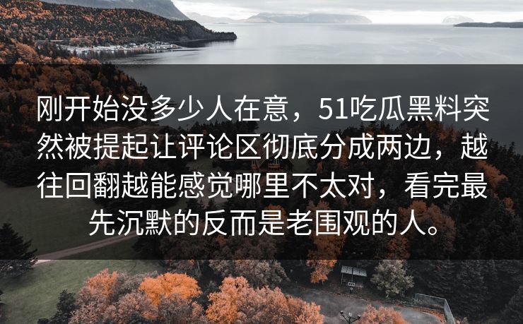 刚开始没多少人在意，51吃瓜黑料突然被提起让评论区彻底分成两边，越往回翻越能感觉哪里不太对，看完最先沉默的反而是老围观的人。  第1张