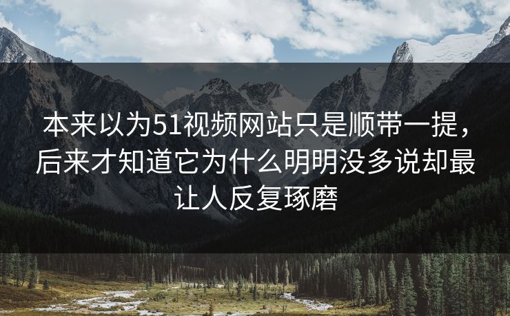 本来以为51视频网站只是顺带一提，后来才知道它为什么明明没多说却最让人反复琢磨